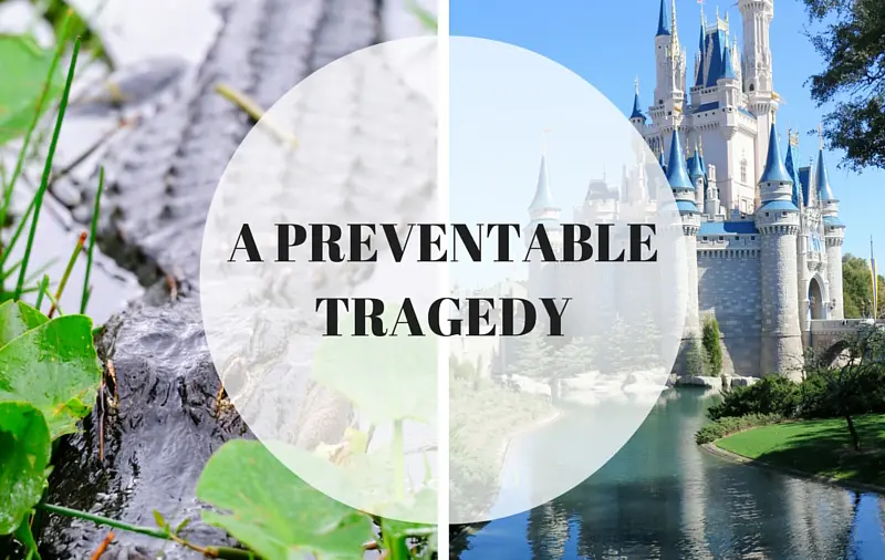 Fatal Gator Attack at Disney Preventable